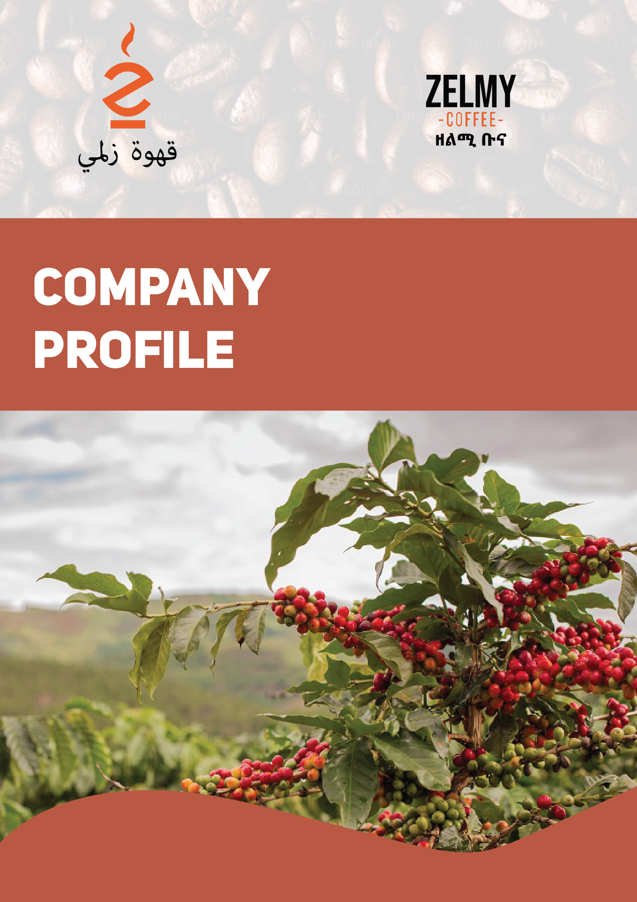 Branding for Zelmy Coffee